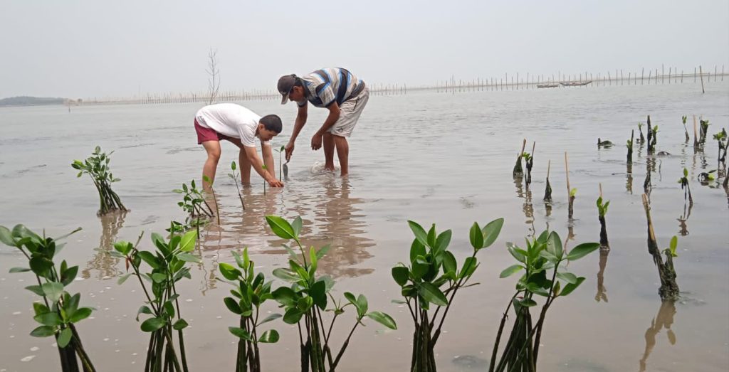 PC HIKMAHBUDHI Tangerang Selatan Lakukan Penanaman Mangrove Di Pesisir Pantai Tanjung Kait