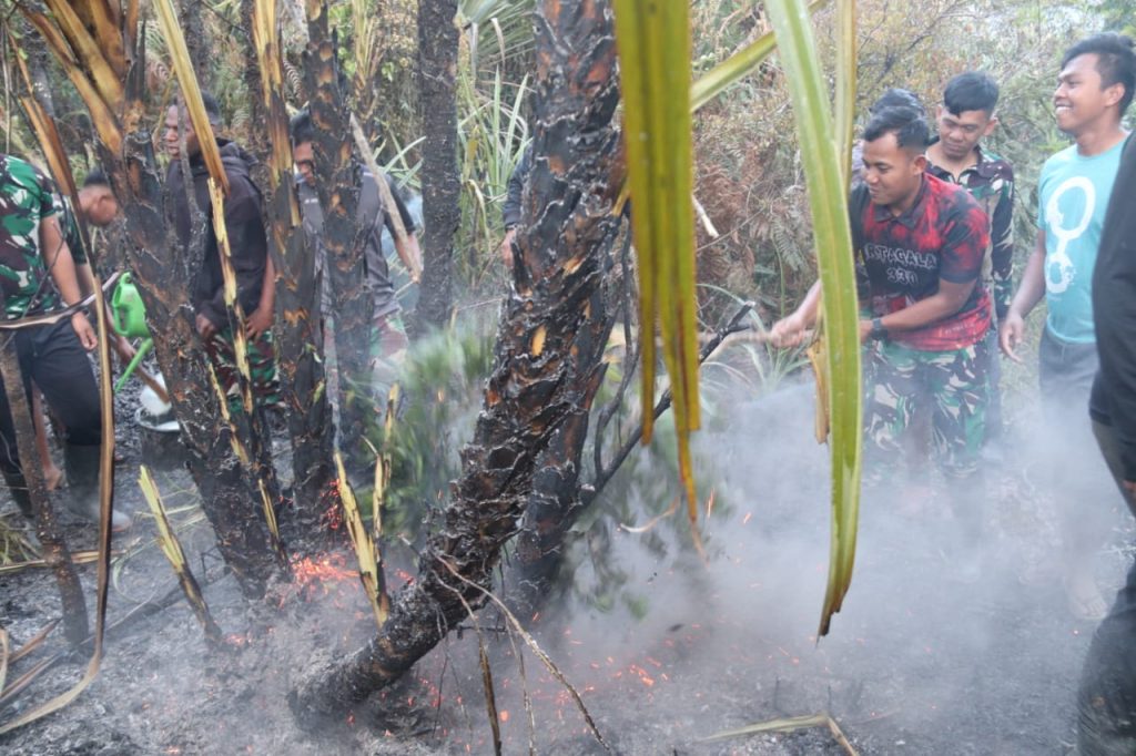 Aksi Cepat Tanggap Satgas Yonif 330/Tri Dharma, Berhasil Padamkan Kebakaran Hutan di Intan Jaya