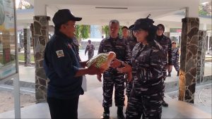 Danlanal Bandung Lepas Tukik Guna Jaga Kelestarian dan Ekosistem Laut