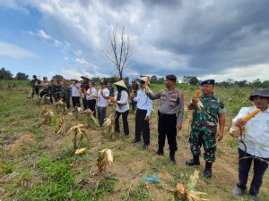 Gerakan Nasional Ketahanan Pangan TA 2023, Lanal Bintan Ikuti Vicon Bersama Wakil Presiden RI