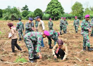 Danlantamal I Laksanakan Gerakan Nasional Ketahanan Pangan Tahun 2023
