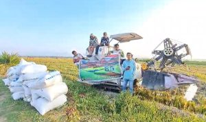 KELOMPOK PETANI MILENIAL OESAO DEKLARASI DUKUNG PEMILU DAMAI 2024.