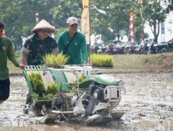 TNI AD Aktif Bantu Pemerintah Amankan Stok Pangan Nasional