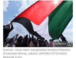 Turki: Makin banyak yang akui negara Palestina, Israel makin terkucil