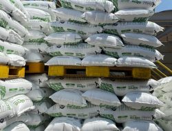 Melangkah Ke Pasar Global – Debe Agrinusa dengan Daiko Trada PTE Ltd Ekspor Perdana Pupuk Urea ke Taiwan