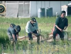 Koramil 05 Cilincing, Kodim 0502 JU Dampingi Petani dalam Ketahanan Pangan pada  Pertanian Perkotaan Kec Cilincing Jakarta Utara