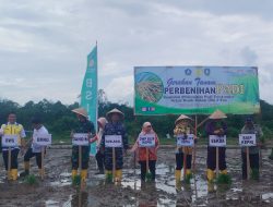 DANLANAL BINTAN HADIRI GERAKAN TANAM BENIH PADI