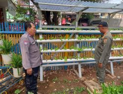 Bhabinkamtibmas Kelurahan Harapan Mulia Monitoring Tanaman Hidroponik dan Budidaya Ikan air tawar untuk Ketahanan Pangan