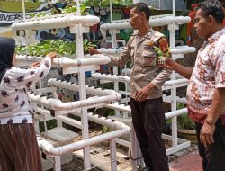Bhabinkamtibmas Kelurahan Utan Panjang Monitoring Tanaman Hidroponik dan Budidaya Ikan air tawar untuk Ketahanan Pangan