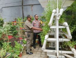 Bhabinkamtibmas Kampung Rawa Bersama Satpol. PP, Monitoring Ketahanan Pangan Budidaya Tanaman Hidroponik Pokcoy dan Kangkung