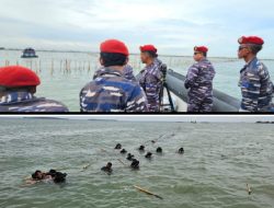 Jaga Perairan Indonesia, TNI AL Cabut Pagar Laut Seluas 30 Km