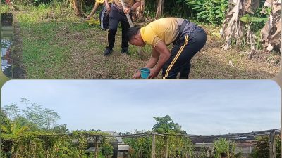 Pekarangan Pangan Bergizi, Polsek Blahbatuh Dan Pemdes Buruan Mendukung Ketahanan Pangan