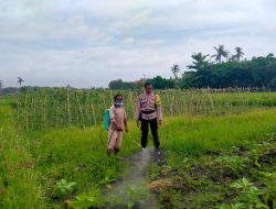 Bhabinkamtibmas Medahan Gerakkan Pertanian Holtikultura Mendukung Ketahanan Pangan