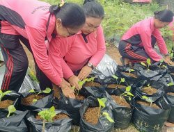 Bhayangkari Ranting Polsek Ubud Dukung Ketahanan Pangan Nasional melalui Program Pekarangan Pangan Lestari (P2L)