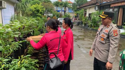 Dukung Ketahanan Pangan Bhayangkari Ranting Sukawati Manfaatkan Lahan Bentuk P2L Tanam Cabai dan Terong.