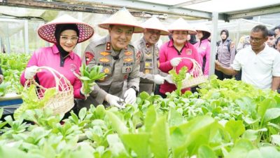 Kapolda Riau Irjen Pol Mohammad Iqbal Didampingi Ketua Bhayangkari Daerah Riau, Nindia Iqbal Giat Nyata Mendukung Ketahanan Pangan.