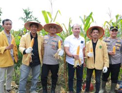 Polres Inhil Laksanakan Panen Raya Jagung Serentak Tahap 1