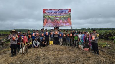 Polsek Pangean dan PT. Gatipura Mulya Tanam Jagung Pipil di Desa Sungai Langsat untuk Program Ketahanan Pangan