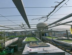 BRI Terus Berupaya Dan Berkontribusi Ajak Masyarakat Ciptakan Lingkungan Selaras Berkelanjutan Untuk Menjaga Pembangunan Berkelanjutan