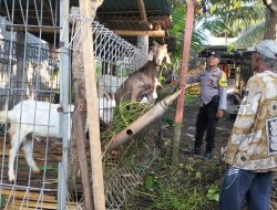 Sambang Kamtibmas Kapolsek Blahbatuh, Ngaturang Atos Di Pura Desa Adat Antugan