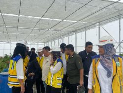 Tinjau Taman Sains Teknologi Herbal dan Holtikultura di Sumut, Wamen Diana: Upaya Pemerintah Wujudkan Kemandirian Pangan