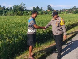 Dukung Ketahanan Pangan, Bhabinkamtibmas Singakerta Sambangi Petani Padi