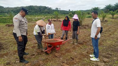Polsek Hulu Kuantan Cek Pengolahan Lahan Tumpang Sari PT Udaya Lohjinawi 