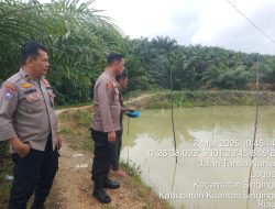 Polsek Singingi Tinjau Kolam Ikan Nila dan Peternakan Sapi di Desa Logas Dukung Program ASTA CITA Presiden RI