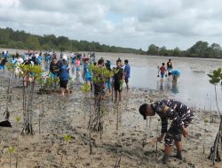 Lanal Bintan Bersama Siswa Siswi SMA Tanam Bakau Dalam Rangka Hari Menanam Pohon Sedunia