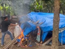 Gerebek 8 Sarang Narkoba, Polrestabes Medan & Polsek Jajaran Ringkus 14 Pelaku