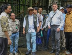 Ladang Ganja di Taman Nasional Bromo Kasus 2024, Kini Sudah di Pengadilan