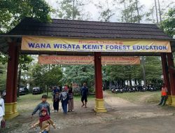 Wisata Alam Kemit Forest Education: Tempat Bertemunya Alam, Ilmu, Dan Keceriaan Di Jantung Cilacap