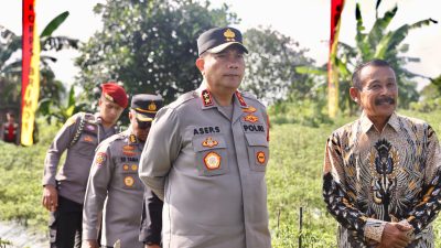 Irjen Pol. Asep Safrudin Kapolda Kepri: Gencarkan Program Ketahanan Pangan Dengan Panen Raya 1,5 Hektar Jagung Manis di Kota Batam