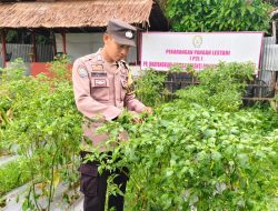 Polsek Cerenti Laksanakan Pengecekan Pekarangan Percontohan Guna Dukung Program ASTA CITA Presiden RI