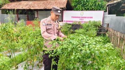 Polsek Cerenti Laksanakan Pengecekan Pekarangan Percontohan Guna Dukung Program ASTA CITA Presiden RI