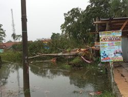 Cilacap di Landa Hujan Deras Disertai Angin Puting Beliung