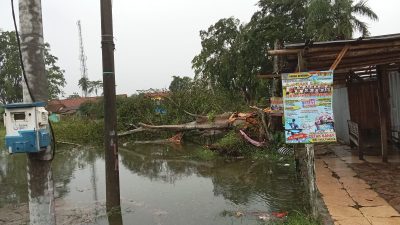Cilacap di Landa Hujan Deras Disertai Angin Puting Beliung