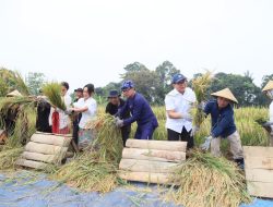 Wamendagri Bima Arya Tekankan Kemandirian dan Ketahanan Pangan dalam Panen Raya di Bogor