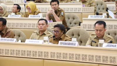 Wujudkan Kemandirian Daerah, Wamendagri Ribka Dorong Perbaikan Tata Kelola BUMD