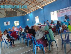 Peran Penting Posyandu Sebagai Pilar Pembanguna Desa