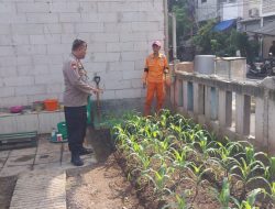Polsek Pademangan Perkuat Ketahanan Pangan Lewat Pengecekan Tanaman di Taman PKK