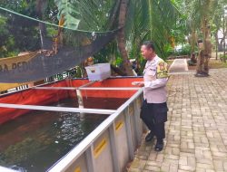 Dukung Ketahanan Pangan, Polsek Pademangan Tinjau Kolam Ikan di RW 11 Kelurahan Ancol