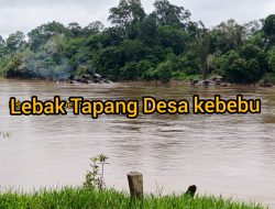 Ratusan Mesin PETI Beroperasi di DAS Melawi, Warga Desak Polisi Tindak Tegas Cukong Emas Ilegal