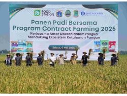 Perkuat Ketahanan Pangan, Gubernur Pramono Serahkan Bantuan Pertanian dan Panen Bersama di Karawang Karawang