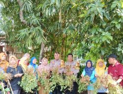 Panen Kacang Tanah Warnai Semangat Ketahanan Pangan di Pademangan Timur