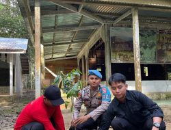 Penanaman Bibit Pohon Bersama WWF di Hutan Suaka Margasatwa Rimbang Baling