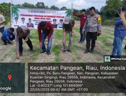 Polsek Pangean Bersama Forkopimcam dan Masyarakat Tanam Jagung Pakan Dukung Program Ketahanan Pangan Presiden RI