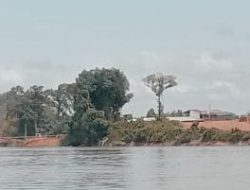 Ada Backingan Kuat di Balik Mulusnya Tambang Bauksit Ilegal Milik Oki Di Tayan