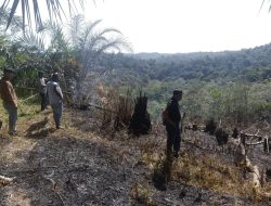 Polres Kuantan Singingi Ungkap Kasus Kebakaran Lahan di Kawasan Hutan Lindung Bukit Betabuh