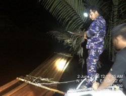 Polisi Temukan 500 Keping Kayu Ilegal di Perairan Desa Dedap, Kepulauan Meranti
